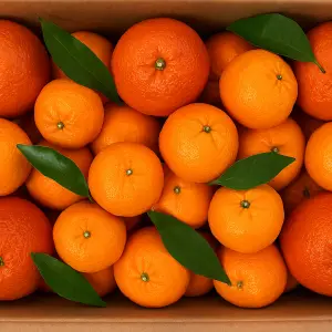 Mix agrumi e mandarini