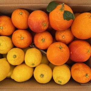 Mix di agrumi arance e limoni